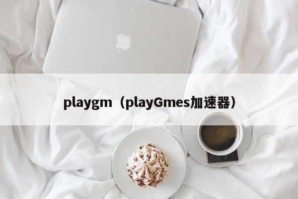 playgm（playGmes加速器）